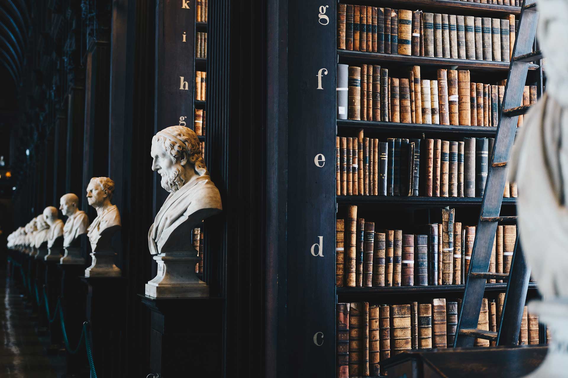 library with black book shelves and grey bust statues